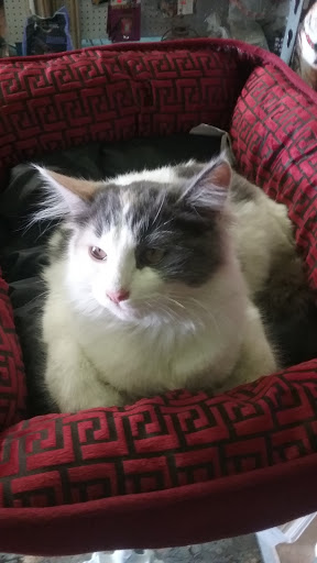 Pet Supply Store «E & M Pet Shop», reviews and photos, 5900 Whittier Blvd, Los Angeles, CA 90022, USA