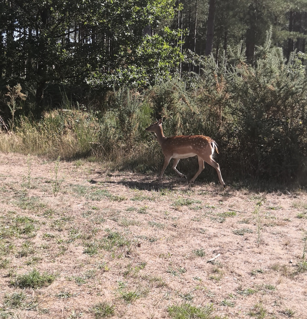 Photo n° 1 de l'avis de nico.O fait le 01/09/2019 à 18:49