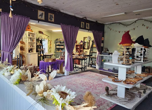 The Cat and The Kettle