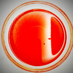 Photo n°1 de l'avis de Luís.o fait le 03/10/2022 à 22:13 sur le  Confectionery Paivas - Vitor Paiva & Brothers, Lda. à Canelas