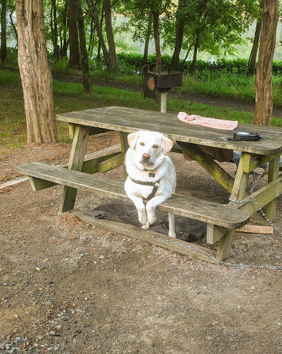 Pet Groomer «Tidy Dog Pet Supply & Salon», reviews and photos, 2612 Lebanon Pike A, Nashville, TN 37214, USA