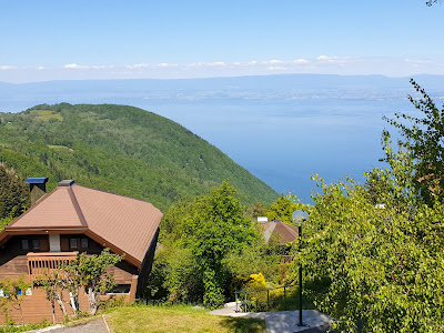Chalet Lac Leman 97 à Thollon-les-Mémises