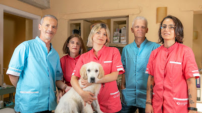 Clinique Vétérinaire Argos à Strasbourg