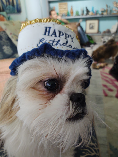 Pet Supply Store «Petco Animal Supplies», reviews and photos, 1670 Airport Blvd #700, Pensacola, FL 32504, USA