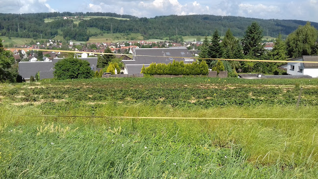 Rezensionen über Beeren und Gemüseanbau Weidmann in Neuhausen am Rheinfall - Supermarkt