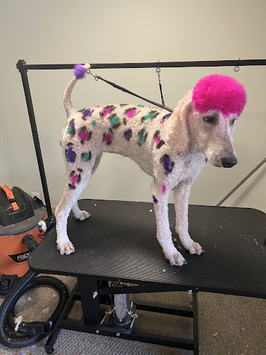 Bougie Pooch Grooming L.L.C