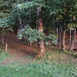 Photo n°3 de l'avis de C. fait le 30/08/2022 à 10:36 sur le  Agriturismo Valsirino à Lagonegro