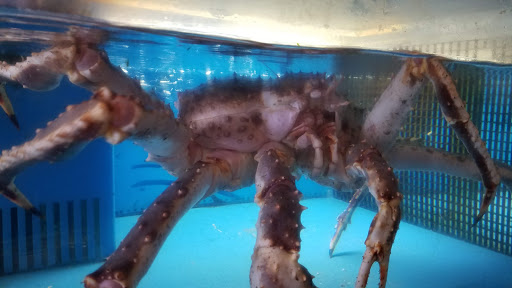 Grocery Store «Agape African Market», reviews and photos, 8746 Lyndale Ave S, Minneapolis, MN 55420, USA