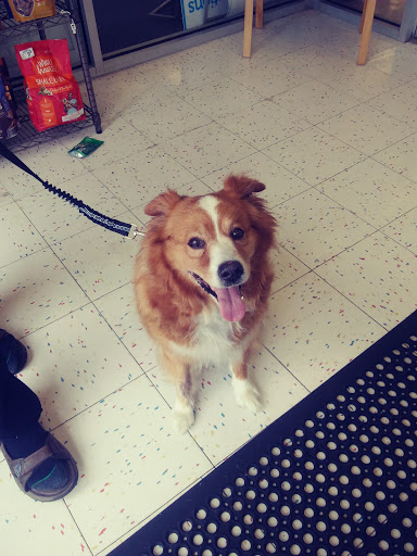 Pet Supply Store «Petco Animal Supplies», reviews and photos, 70 Trinity Point Dr, Washington, PA 15301, USA