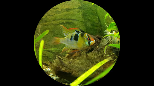 Consultorio Veterinario Las Gaunas en Logroño