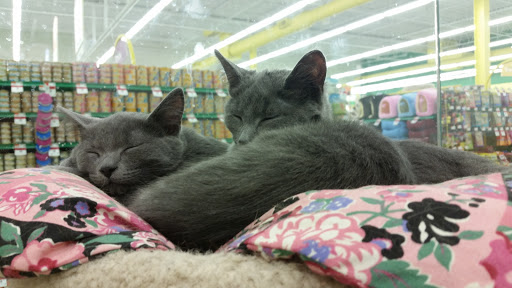Pet Supply Store «Pet Supplies Plus», reviews and photos, 311 Sagamore Pkwy N, Lafayette, IN 47904, USA