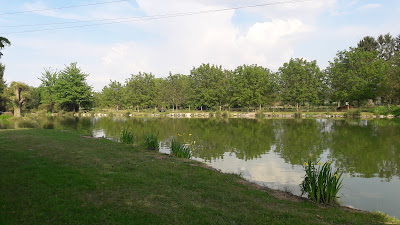 Ass de Peche la Truite Du Rhin à Blodelsheim