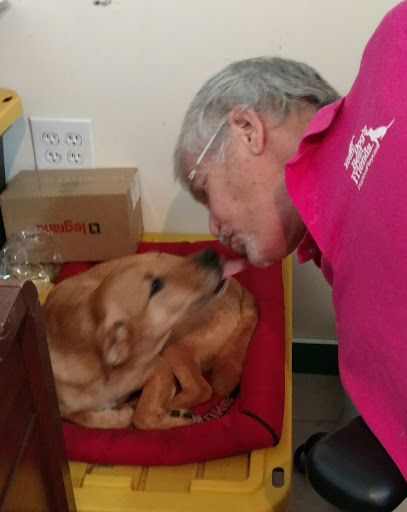 Pet Supply Store «The Dog Store», reviews and photos, 2301 Mt Vernon Ave, Alexandria, VA 22301, USA