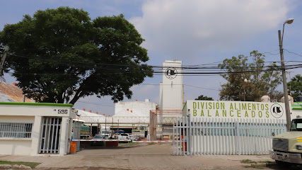 Planta Alimentos Union Porcicultores Guanajuato