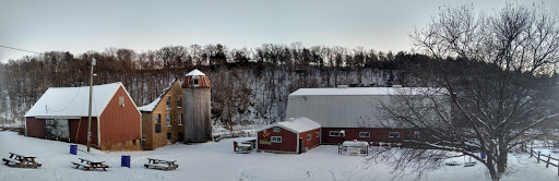 Historical Place «Council Hill Station», reviews and photos, 6521 N Hill Rd, Scales Mound, IL 61075, USA