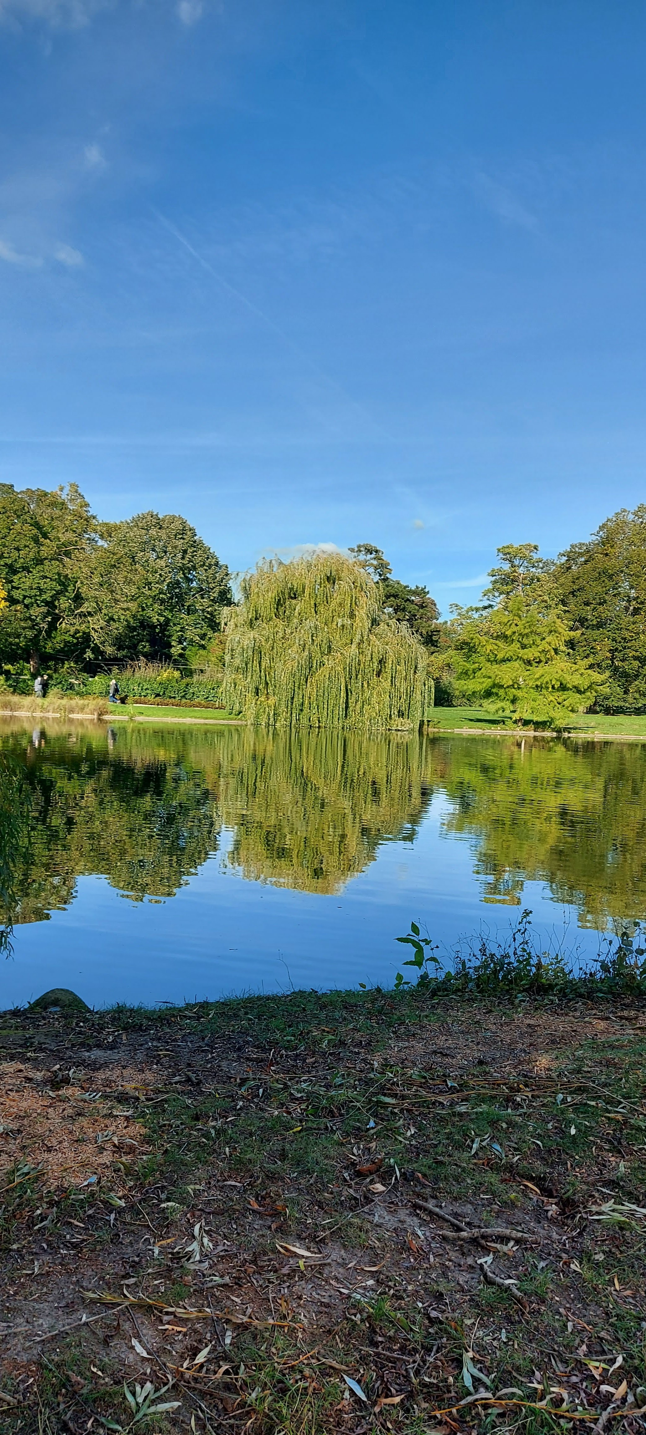 Photo n° 47 de l'avis de gwadilina.l fait le 12/05/2022 à 00:30