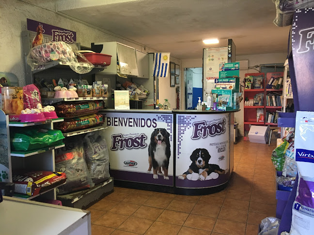 Opiniones de Veterinaria Libano en Ciudad de la Costa - Veterinario