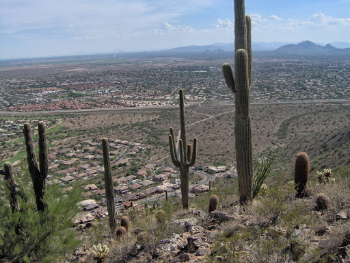 Biofeedback therapist Scottsdale