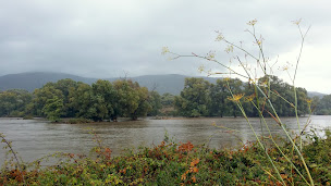 Photo n°20 de RESTAURANT U SCONTRU à Serra-di-Ferro ()