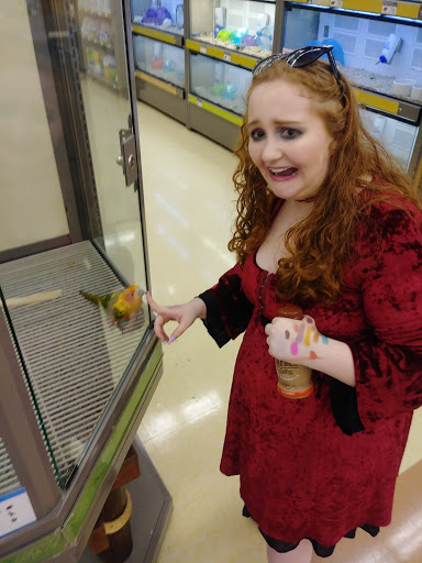 Pet Supply Store «Petco», reviews and photos, 131 N Cattlemen Rd, Sarasota, FL 34243, USA