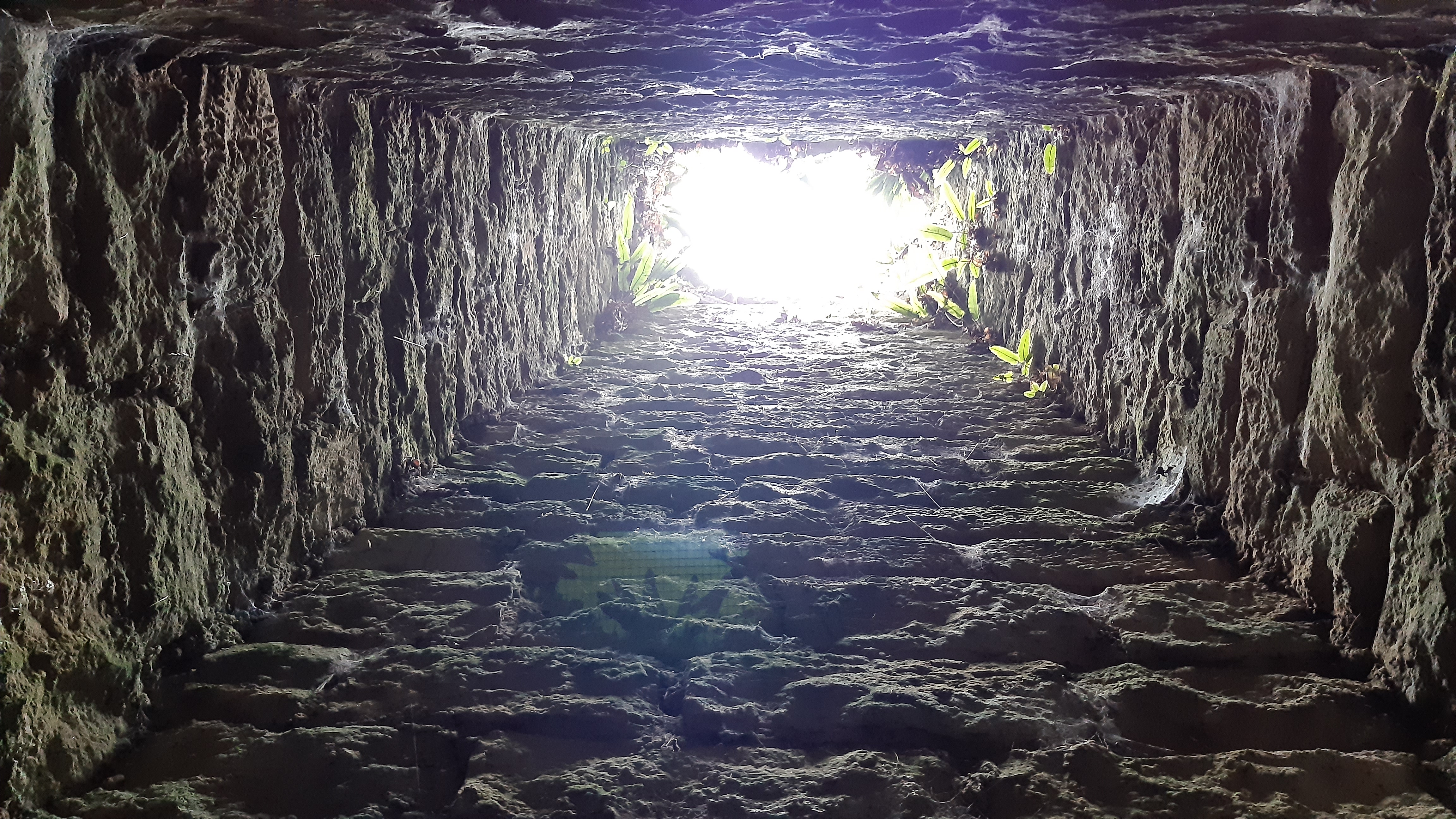 Photo n° 5 de l'avis de Lee.L fait le 29/09/2019 à 08:58