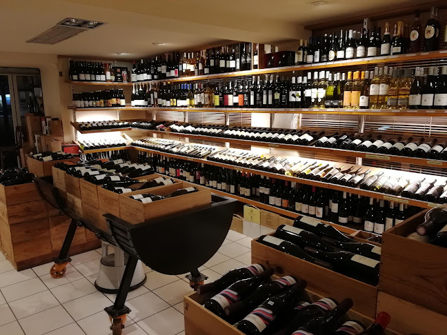 Vino Vini