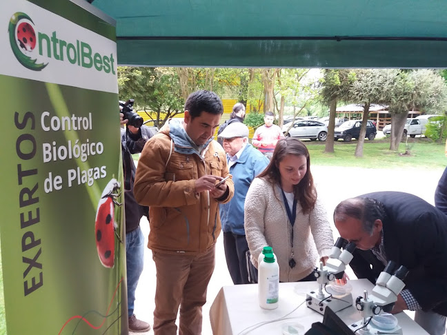 Opiniones de ControlBest Limitada Control Biológico de Plagas en Quillota - Empresa de fumigación y control de plagas