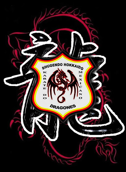 Dragones Karate Shotokan San Pablo