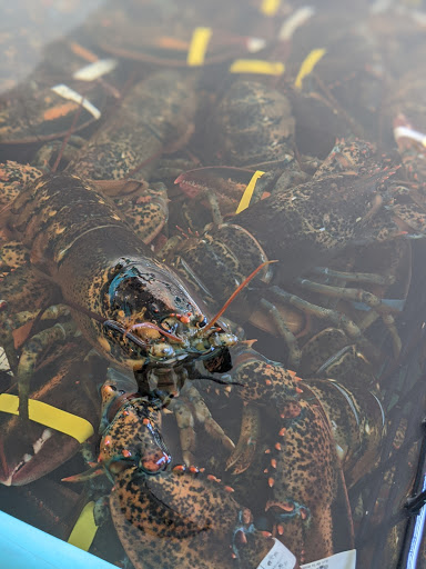Seafood Market «Dorr Lobster Seafood Market», reviews and photos, 372 Shore Rd, Ellsworth, ME 04605, USA