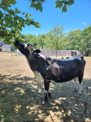 Zoo «Buttonwood Park Zoo», reviews and photos, 425 Hawthorn St, New Bedford, MA 02740, USA