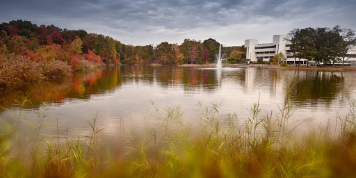 Book Store «Woodbridge Campus Bookstore», reviews and photos, 15200 Neabsco Mills Rd, Woodbridge, VA 22191, USA