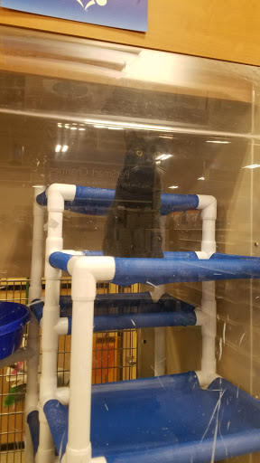 Pet Supply Store «PetSmart», reviews and photos, 3 McKenna Rd, Arden, NC 28704, USA