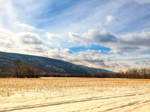 Department Store «Walmart Supercenter», reviews and photos, 7500 US-209, Napanoch, NY 12458, USA