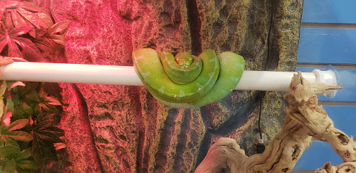 Pet Store «Fins Feathers Paws Claws», reviews and photos, 201 Station Rd, Quakertown, PA 18951, USA