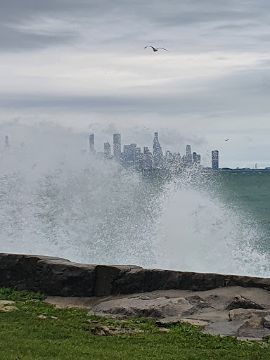 Book Store «University of Chicago Bookstore», reviews and photos, 970 E 58th St, Chicago, IL 60637, USA