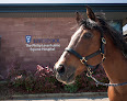 Leahurst Equine Hospital (Philip Leverhulme Equine Hospital - University of Liverpool)