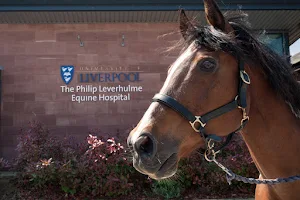 Leahurst Equine Hospital (Philip Leverhulme Equine Hospital - University of Liverpool) image