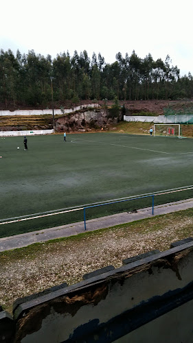 Parque Desportivo José Oliveira Santos - GD Beira-Vouga - Campo de futebol
