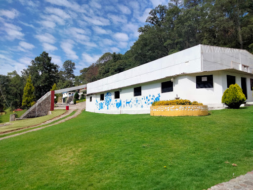 Centro Vacacional Hotel Campestre CHINGUIRITO
