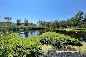 Lost Pond Conservation Area image