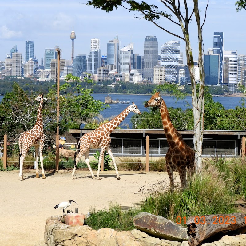 Taronga Zoo Sydney