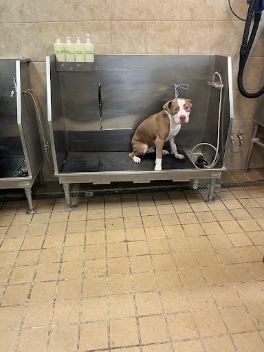 Pet Supply Store «Pet Supplies Plus», reviews and photos, 1616 Precinct Line Rd, Hurst, TX 76054, USA