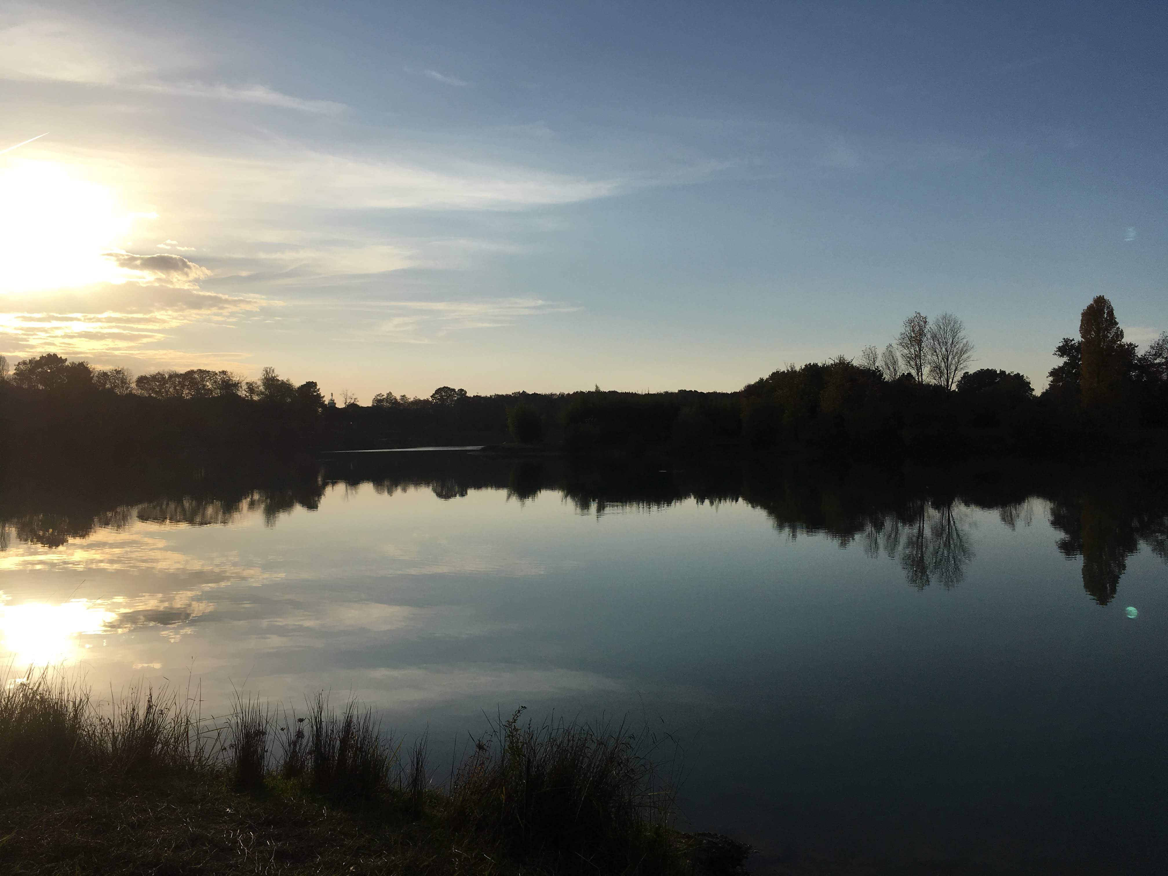 Photo n° 3 de l'avis de Sarah.e fait le 03/02/2019 à 03:04