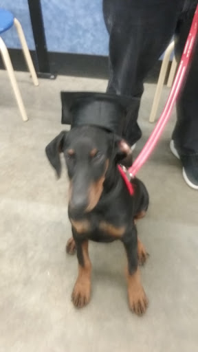 Pet Supply Store «PetSmart», reviews and photos, 5336 Westpointe Plaza Drive, Columbus, OH 43228, USA