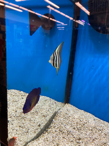 Pet Supply Store «Petco Animal Supplies», reviews and photos, 4491 Kirkwood Hwy, Wilmington, DE 19808, USA