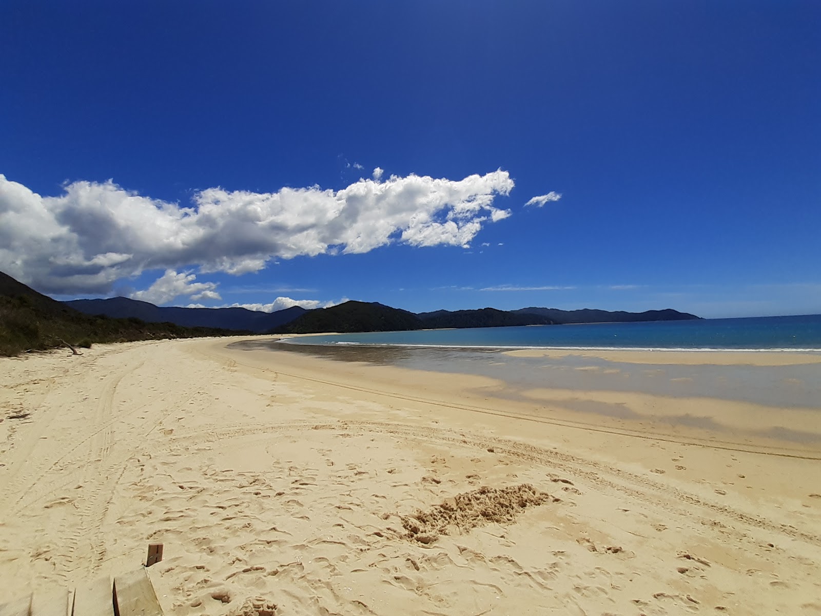 Awaroa Bay Beach的照片 带有碧绿色纯水表面
