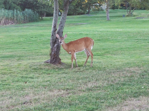 Golf Course «Overpeck Golf Course», reviews and photos, 273 E Cedar Ln, Teaneck, NJ 07666, USA