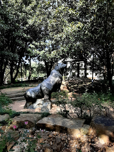 Gym «Baylor Tom Landry Fitness Center», reviews and photos, 411 N Washington Ave #1900, Dallas, TX 75246, USA