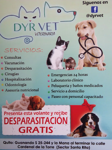 Veterinaria DyrVet - Veterinario