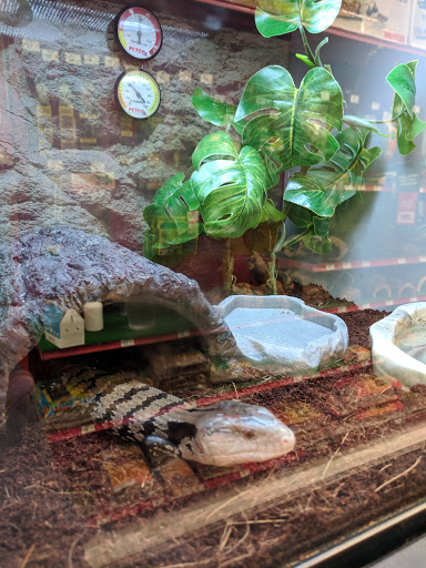Pet Supply Store «Petco Animal Supplies», reviews and photos, 2131 Pleasant Hill Rd, Duluth, GA 30096, USA